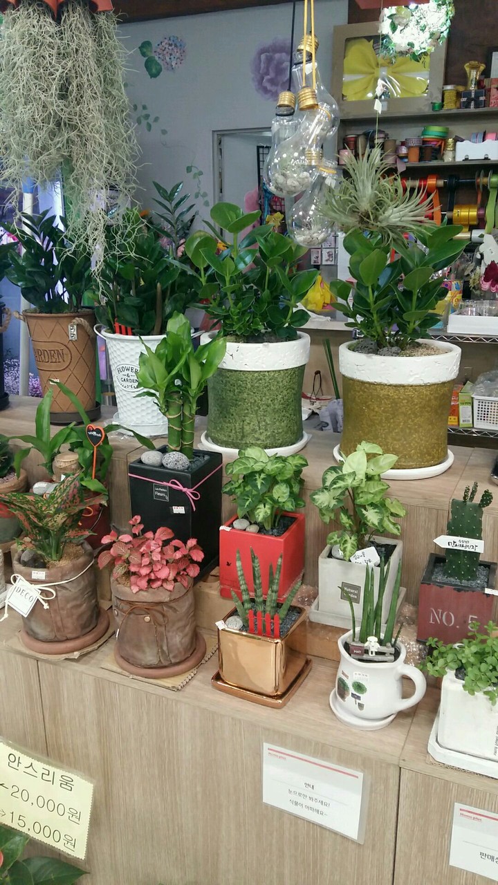 flower shop