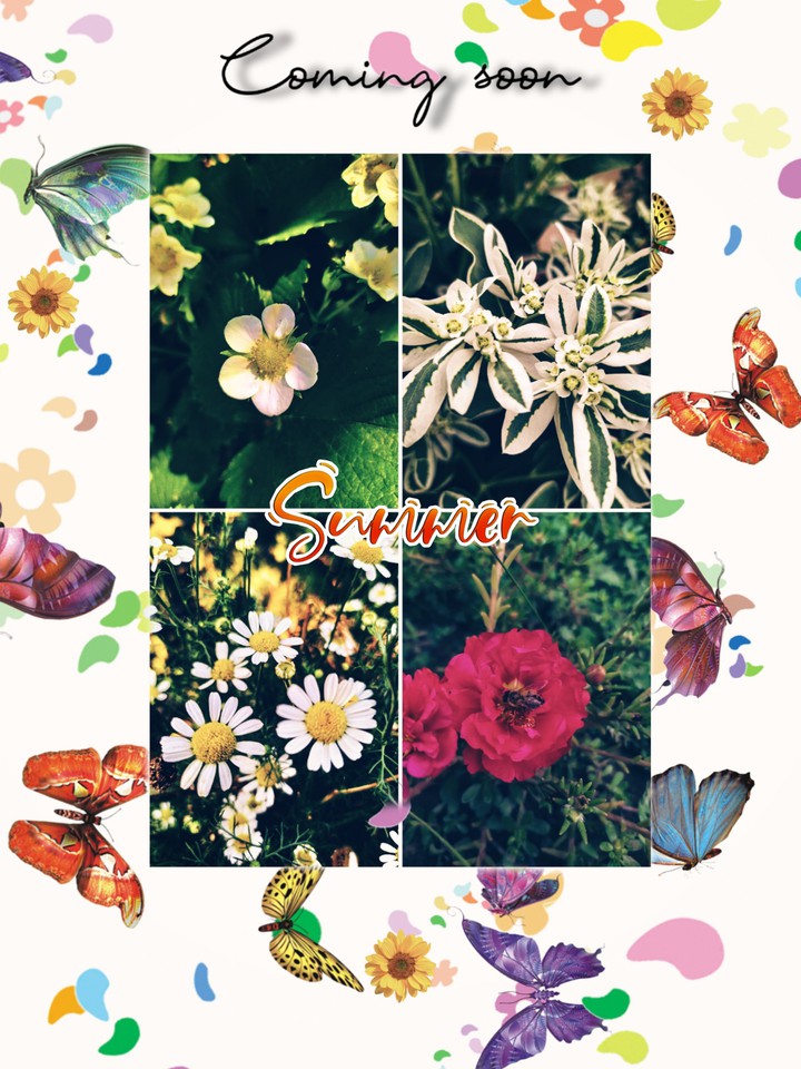 summer time