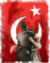 wallpaper, polis wallpapers