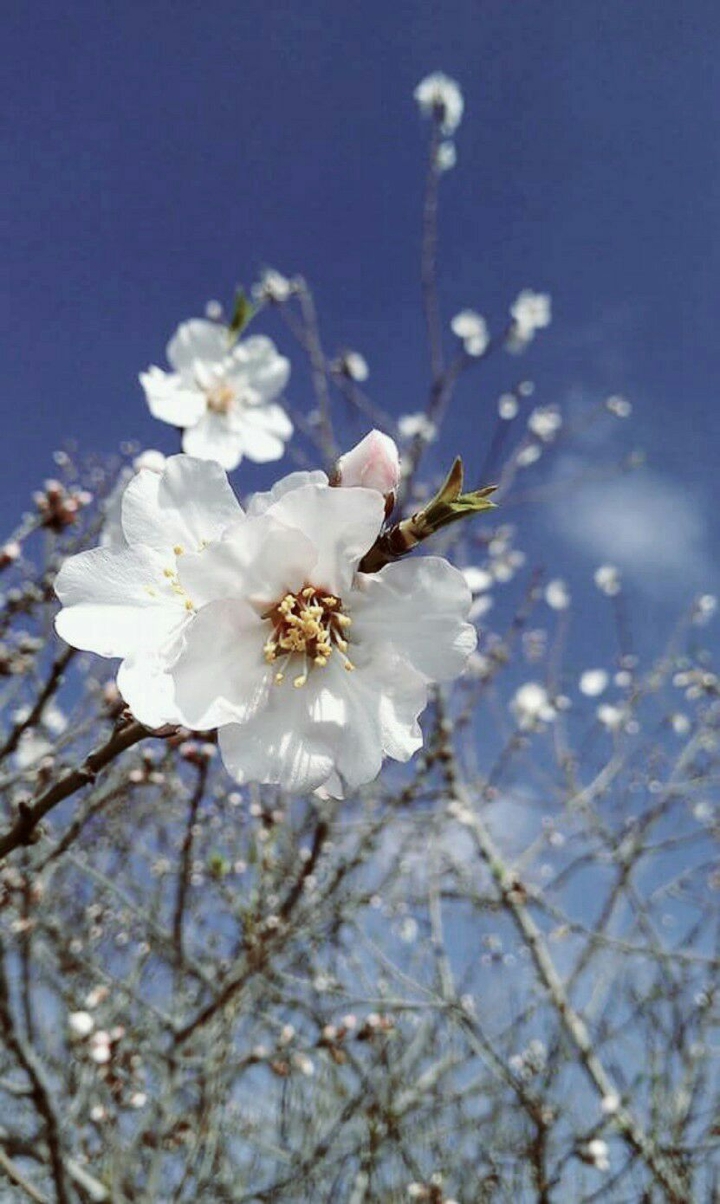 It's spring !
