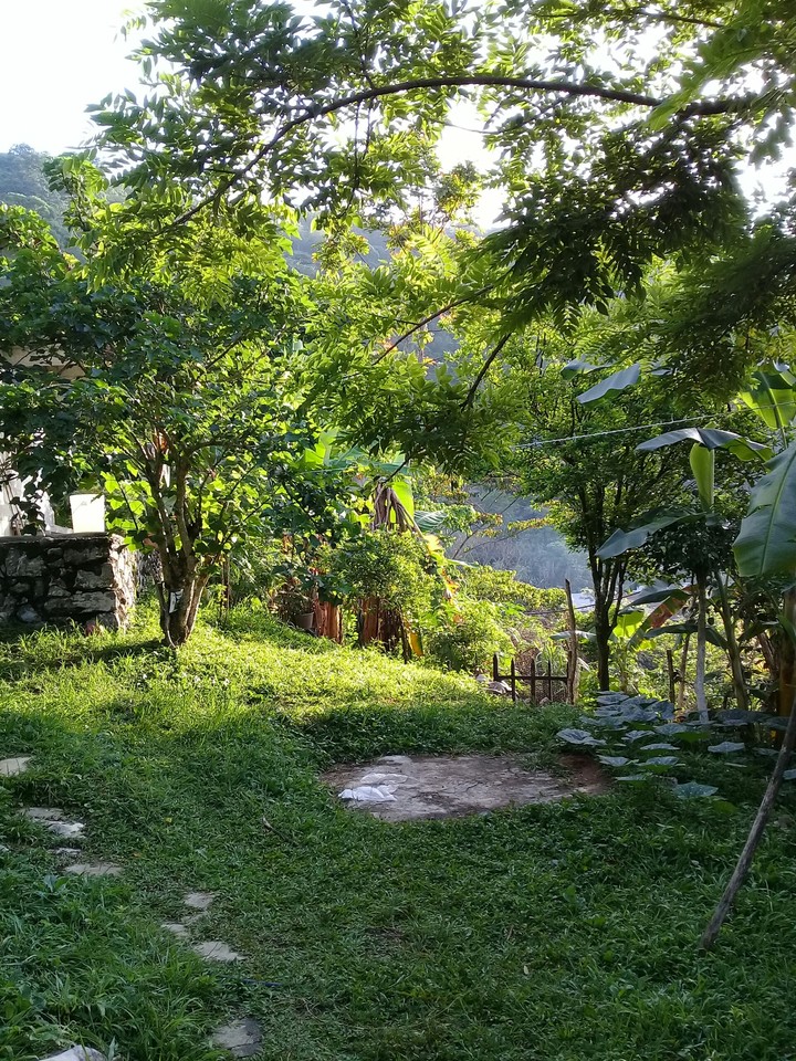 nature