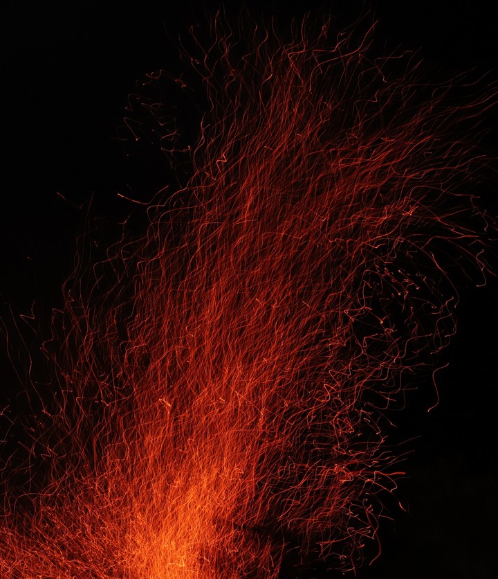 Holi