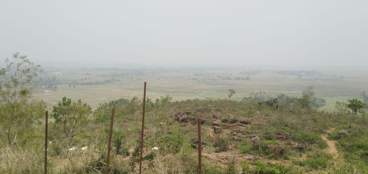 field