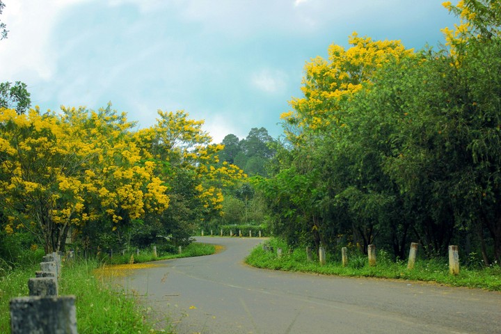road
