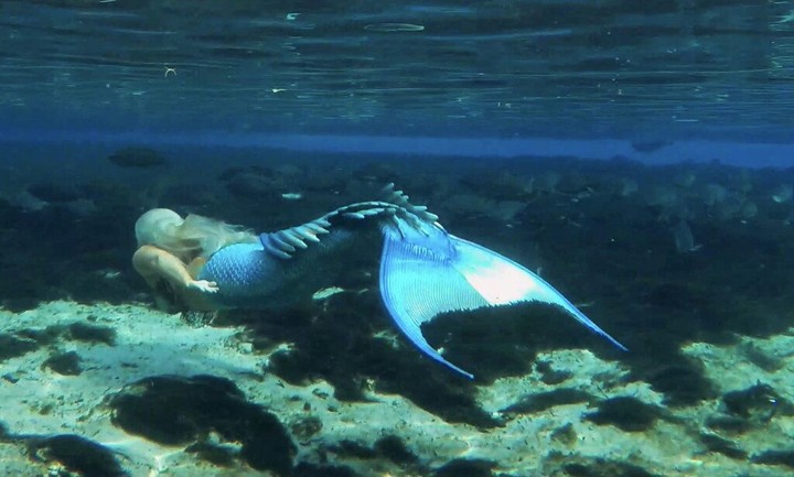 Mermaid swimming in the Blue Sea