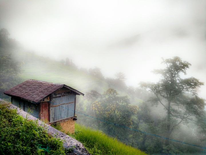 Dream