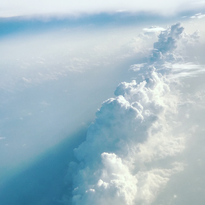 Fly high with your wings.