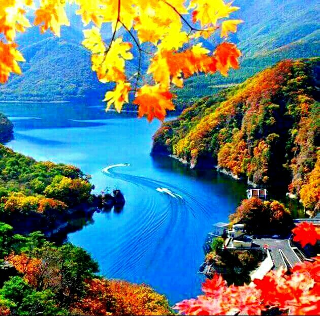 NATURE