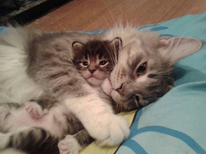 Snuggles