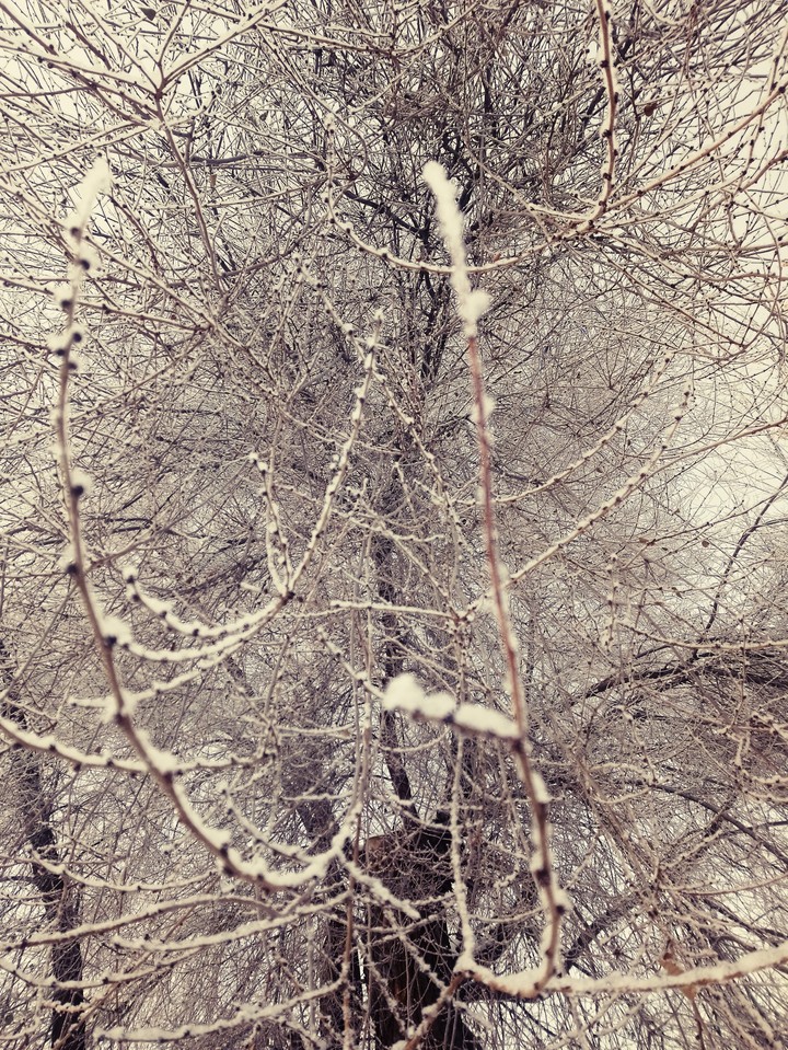 зима