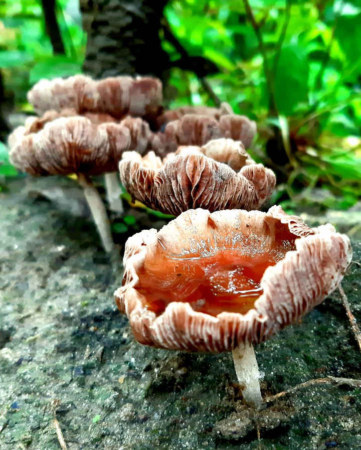beauty of mother nature