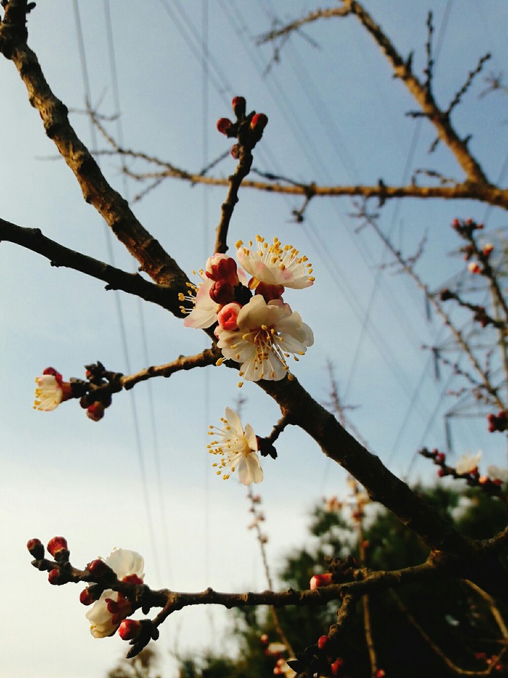 Spring