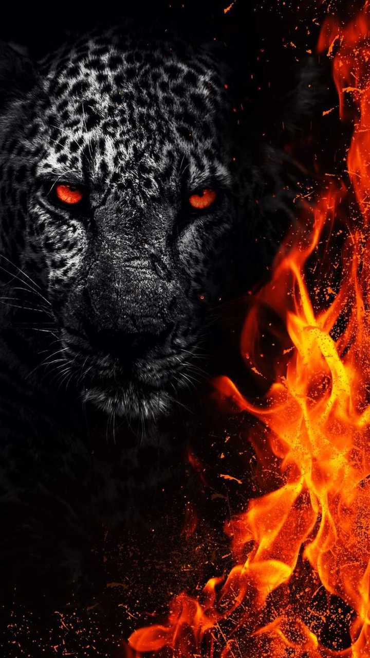 Stay Wild