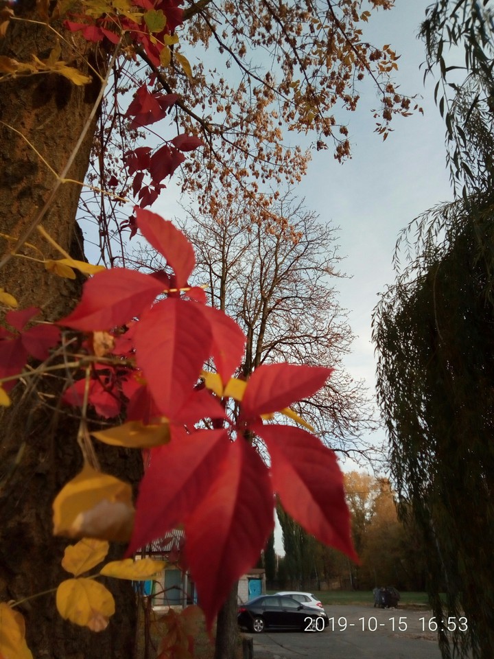 Autumn