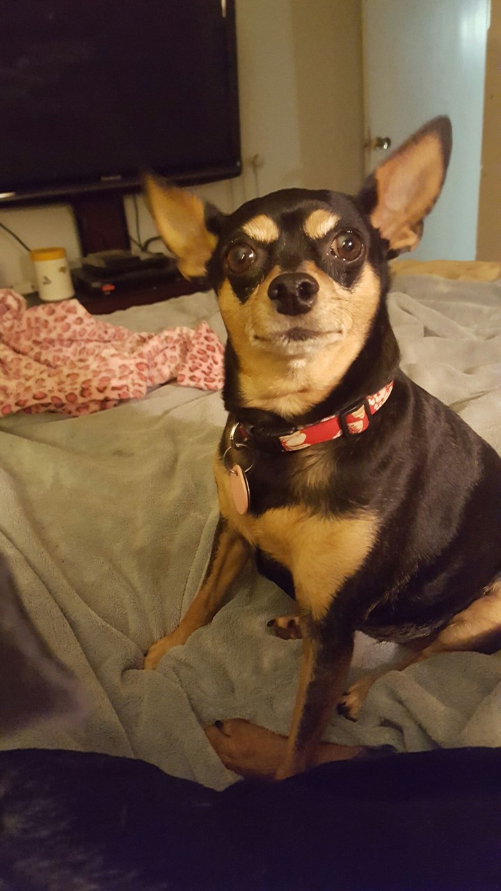 Missy