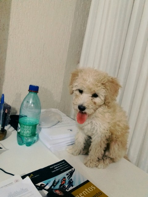 lua