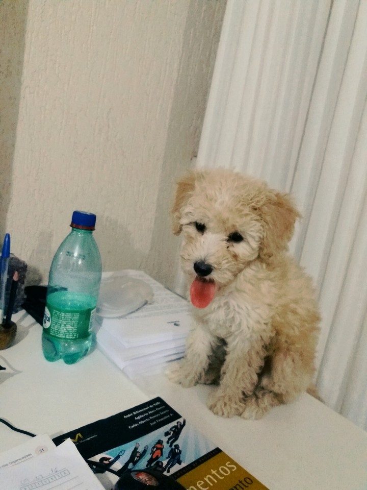 lua