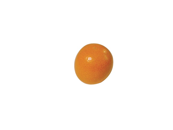 음식이미지