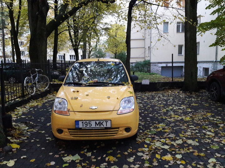 Yellow everywhere..