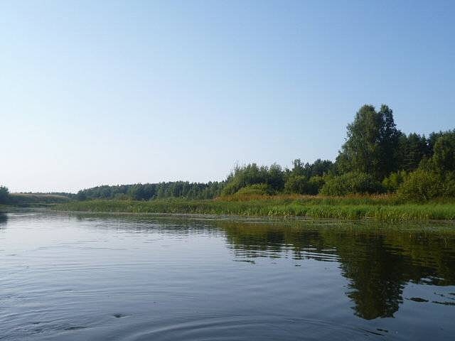 water