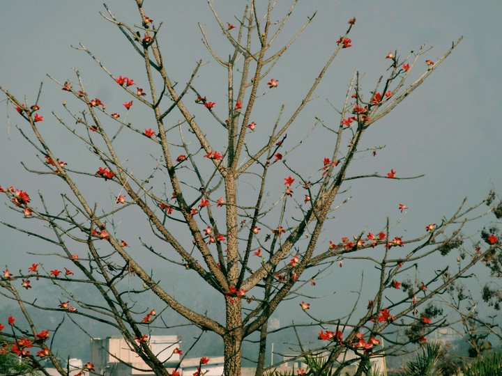 nk photography
