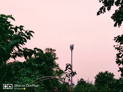 Pink Sky