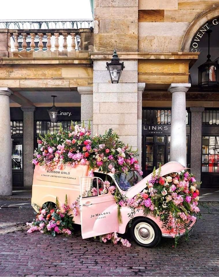 flower pink