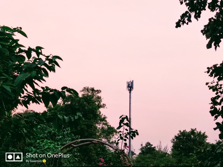 Pink Sky