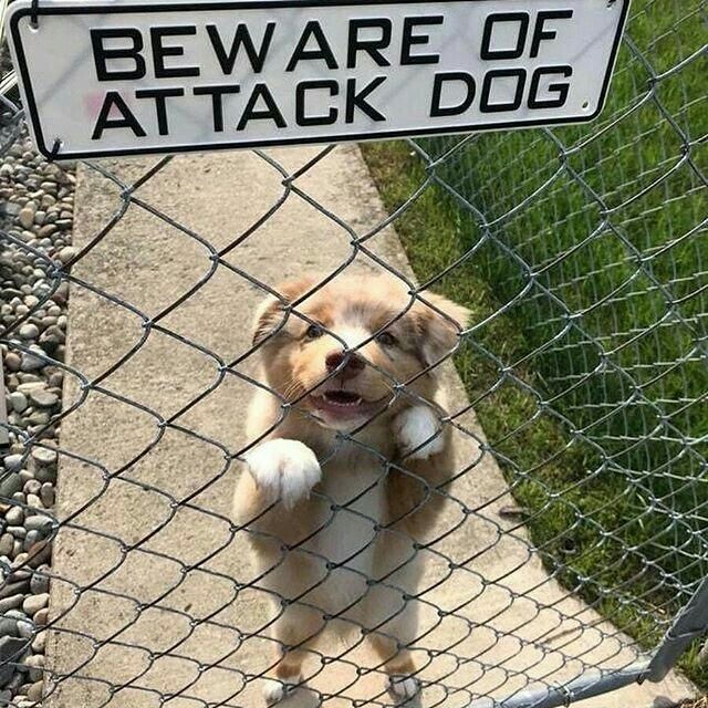 ?