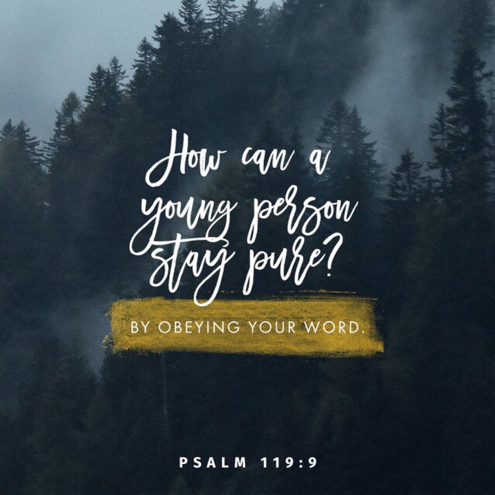 bible verses