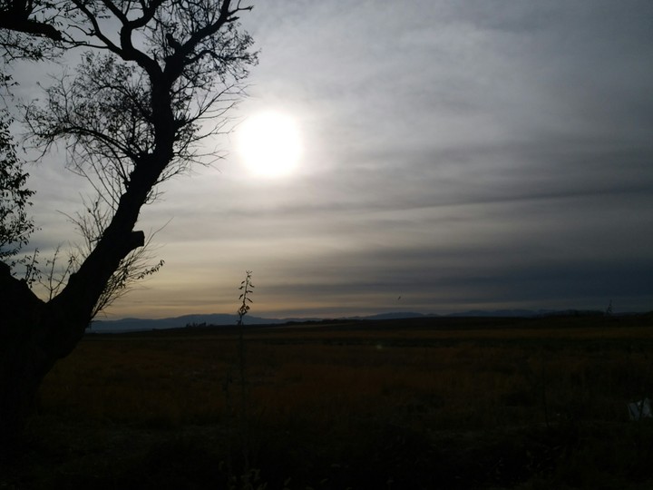 #sun