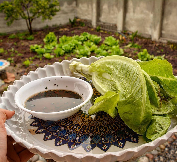 Iranian Fruit For Sizdah Bedar (Iranian Holiday)