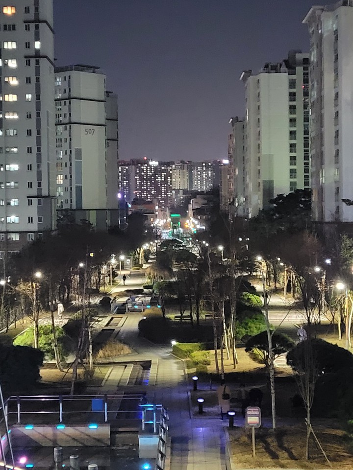 도심공원