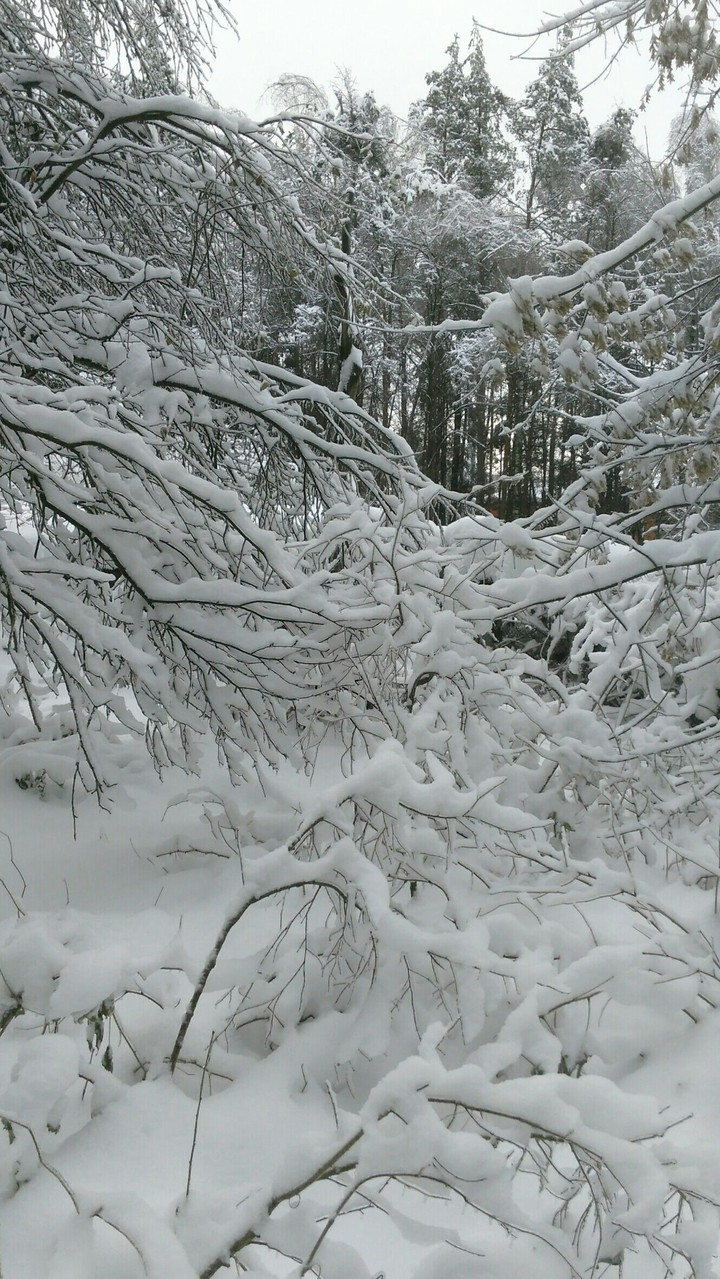 winter is coming