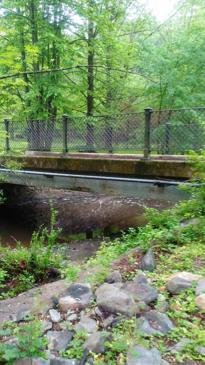 under the bridge
