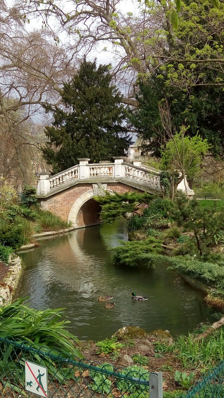 Bridge