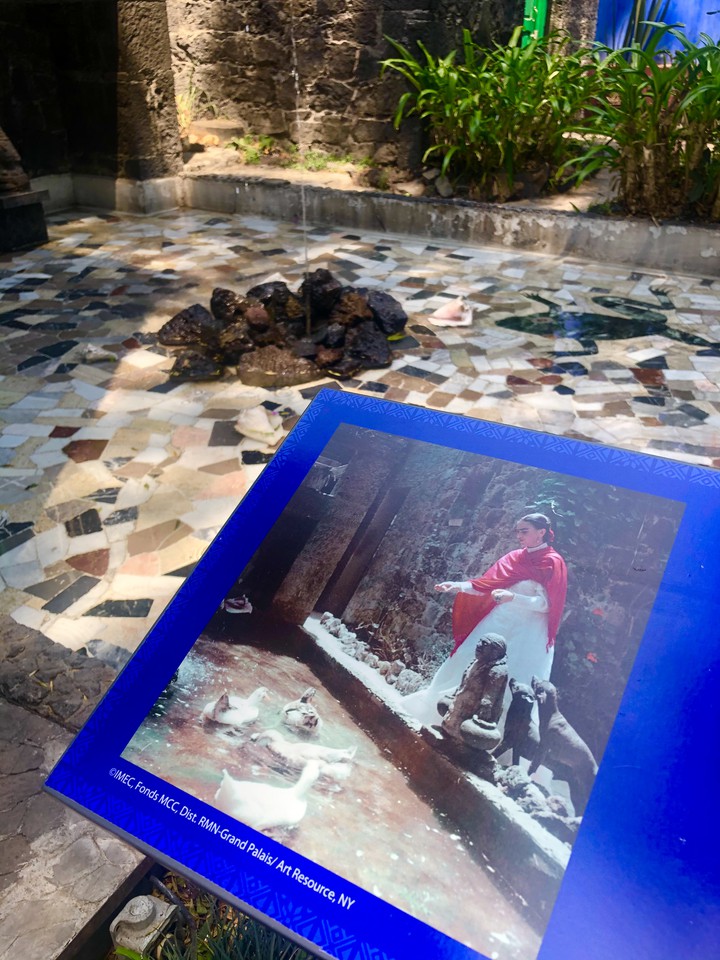 Fuente de Patos