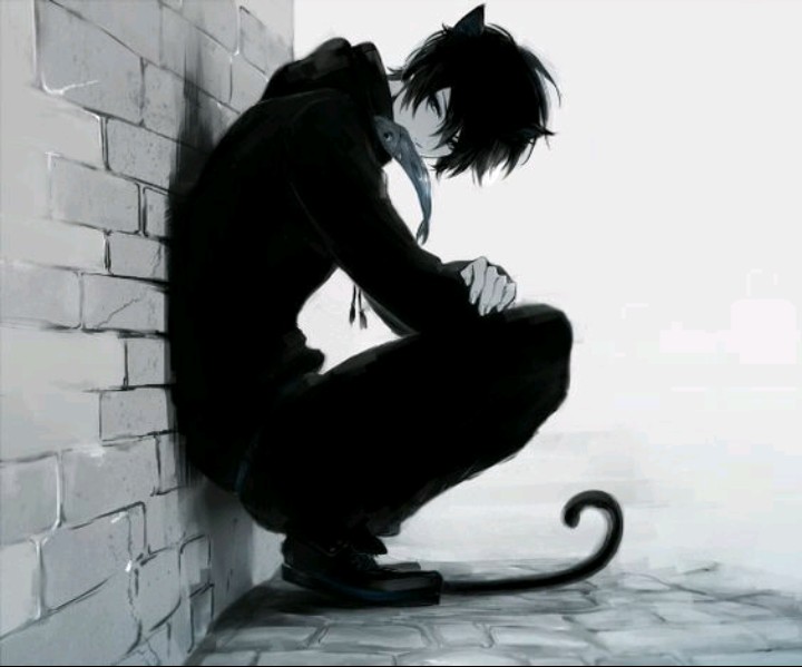 Cat anime boy