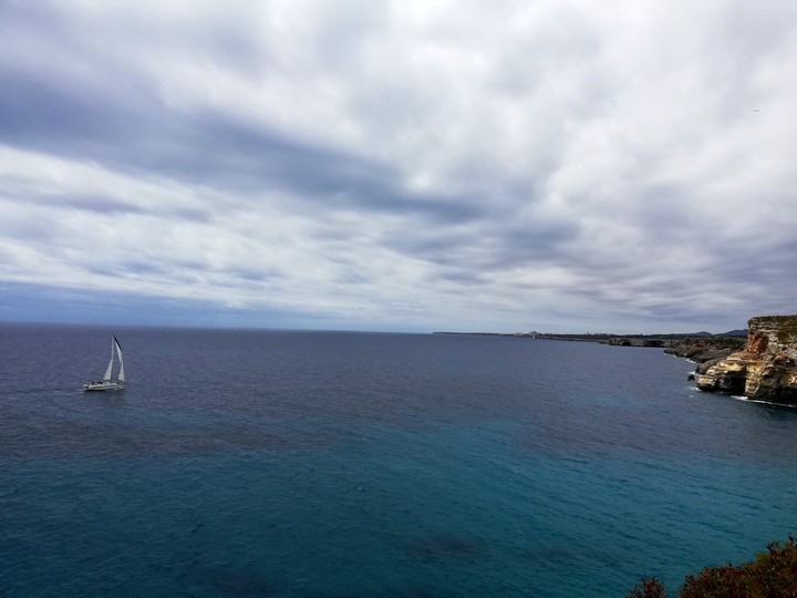 Sea
