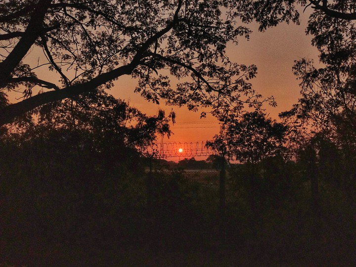 Sunset
