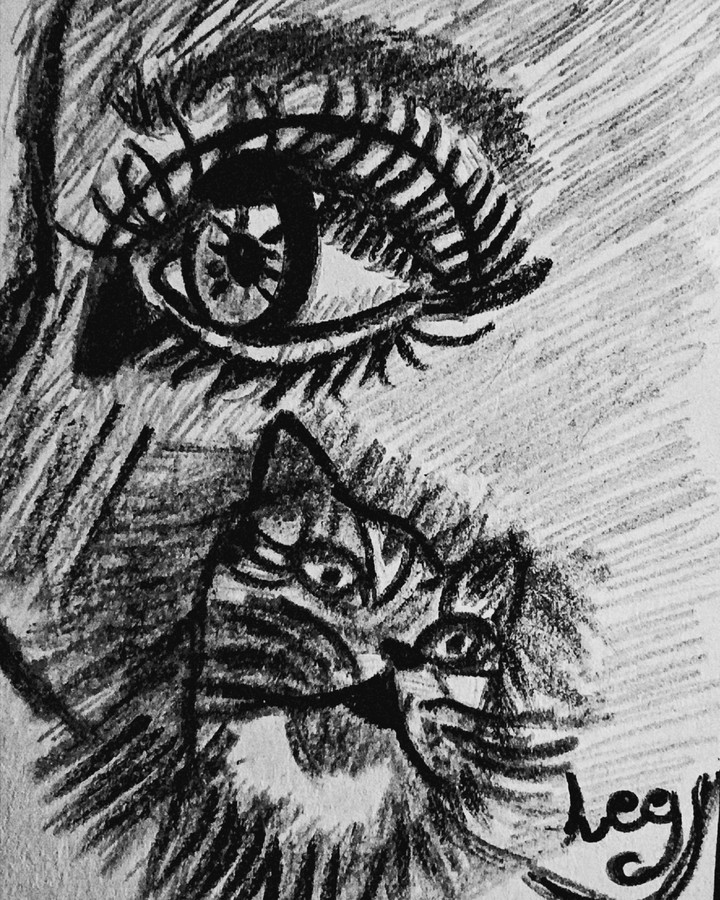 occhio di gatto