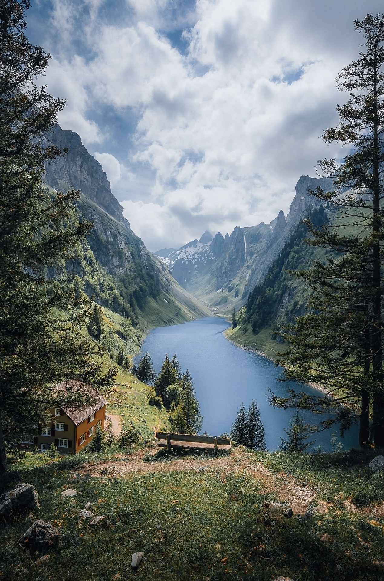 тапети mountain, twig