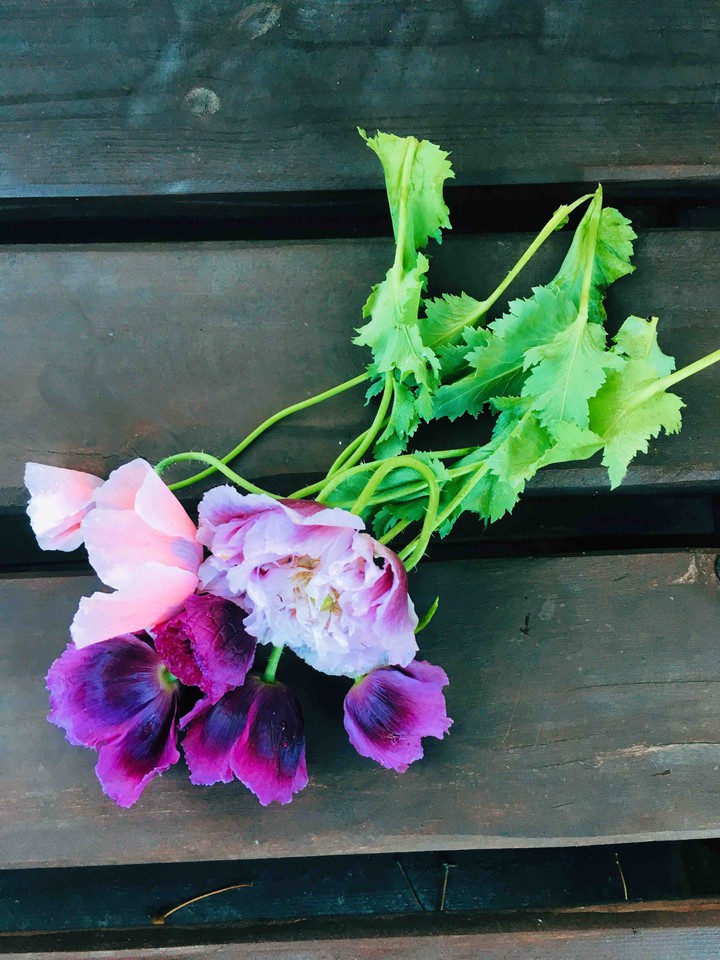flowers