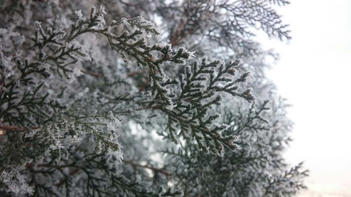 winter