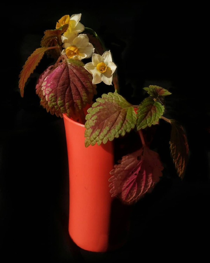 ?Flowers are a gift?