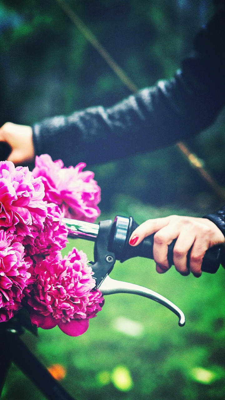 flowers