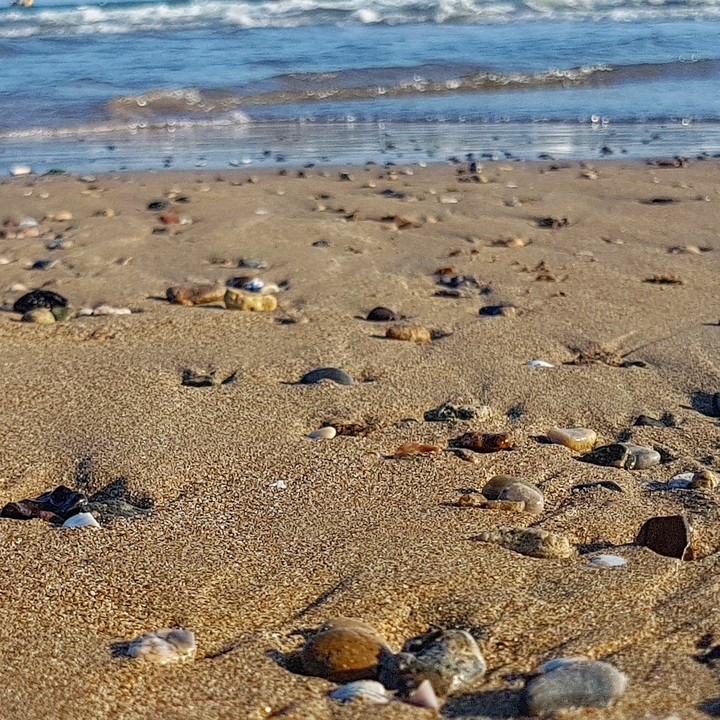 Sea stones