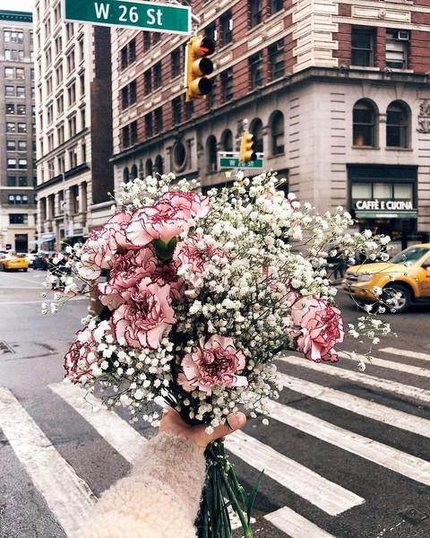 floristry, flora वॉलपेपर