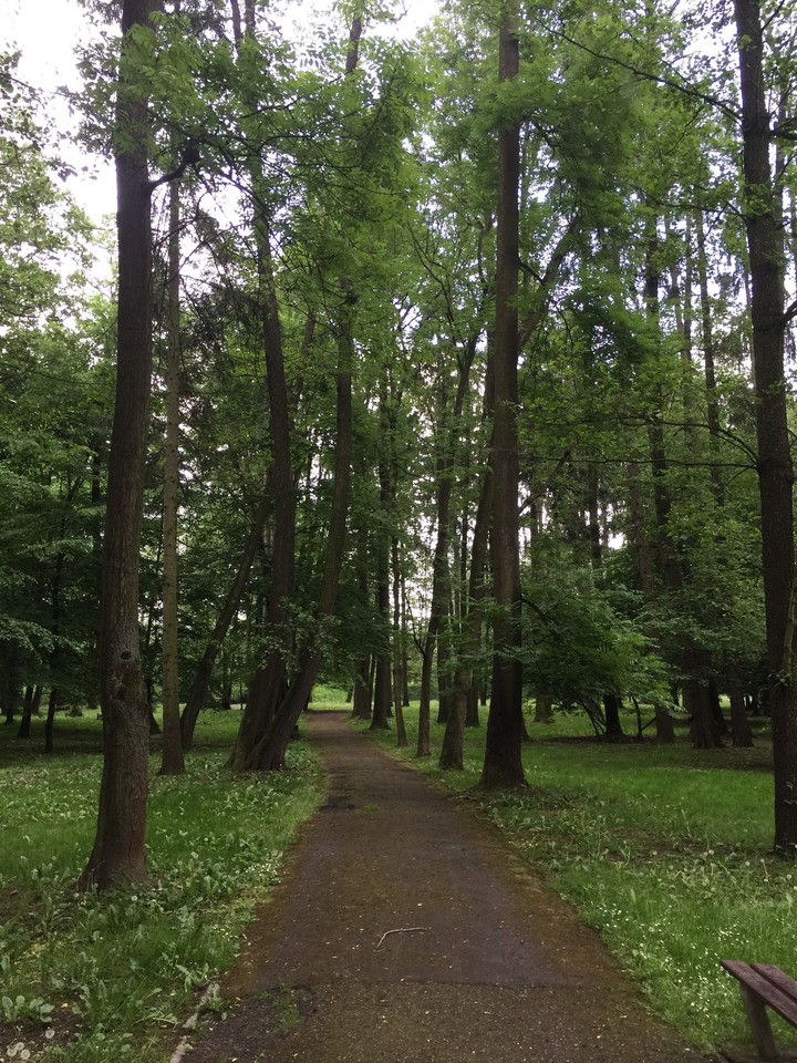 park
