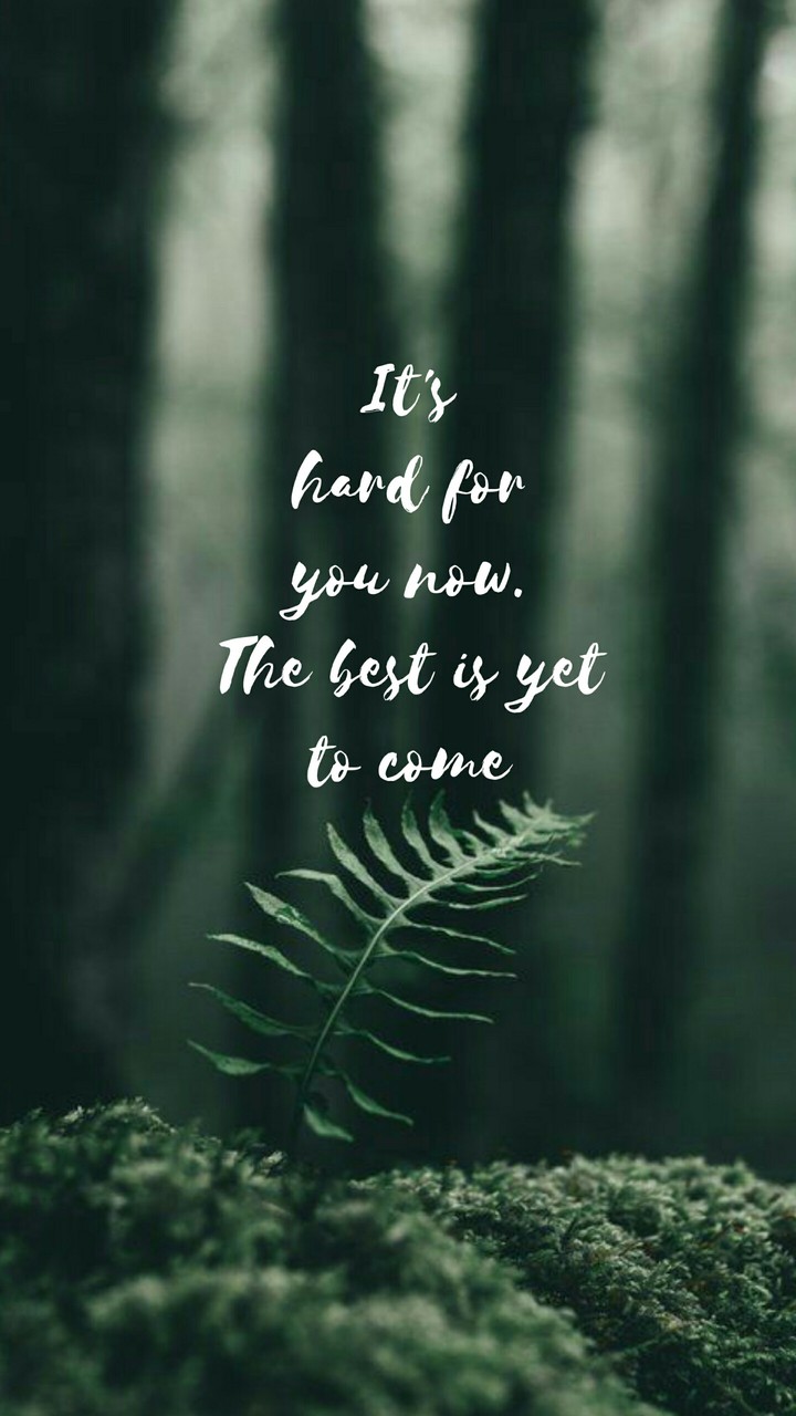 Quotes